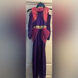 Jasmin Purple and Pink Costume Dress